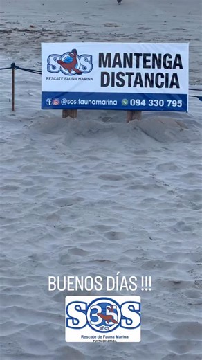 Rescate Fauna Marina - Uruguay on Reels