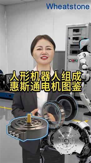 人形机器人组成惠斯通电机图鉴