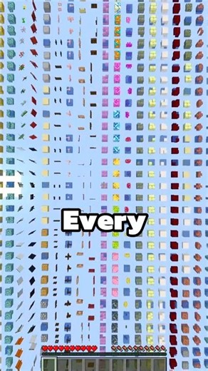 Minecraft, But World is Every Block!