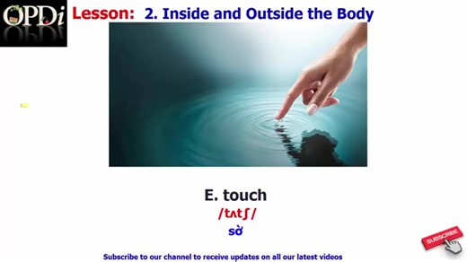 【英语词汇暴涨秘籍】Oxford picture dictionary 牛津图解词典第二版最新版全36集【字典PDF书 视频】