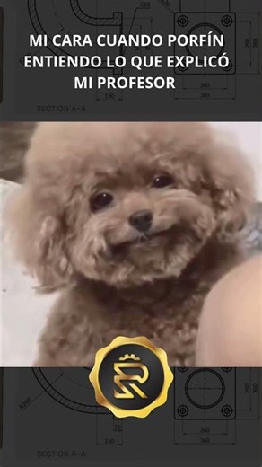 😤 When your teacher asks you something about SolidWorks and all you can do is make this face…