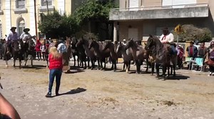 143K views · 4.3K reactions | Patrocínio: Larratea Combustíveis, Duca Mat, Do Vini Restaurante e Lancheria, Delivery Much Santana do Livramento, Line Comunicação, Ecoville Produtos de Limpeza Livramento, Barbearia Uau Demonstração de doma racional é feita pelo Núcleo Santanense de Criadores de Cavalo Criolos | Sentinela 24H | Facebook