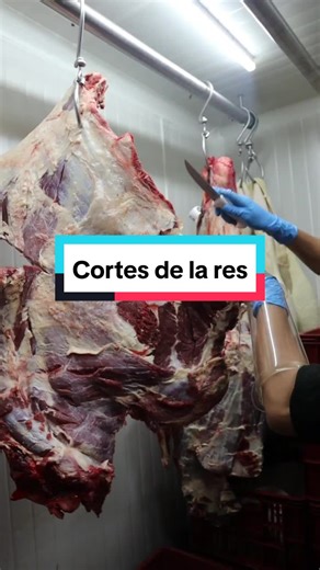 Cortes de Carne: Técnicas y Consejos Prácticos