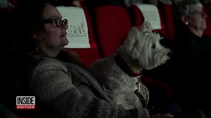 61K views · 1.6K reactions | The Majestic Bastille, an independent movie theater in Paris, recently opened their doors to humans and their dogs. The first film to welcome furry friends? Lady and the Tramp. | Inside Edition | Facebook