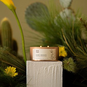 Desert Creosote Candle | True Creosote Scent | Creosote Leaves, Pinyon Sap, Balsam, Petrichor | Larrea Tridentata Scent | Made in Arizona - Etsy