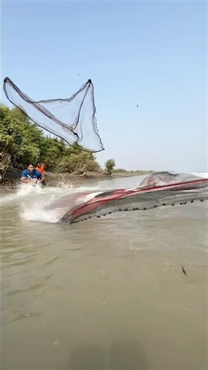 The Perfect Cast Net Technique for Big Fish!#fishingtips #castnet #bigfish #reelsfb #angler