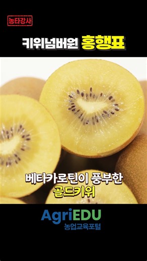 [Agri-Star Instructor] EP.26 Kiwi farming instructor Hong Haeng-pyo's teaching secrets revealed f...