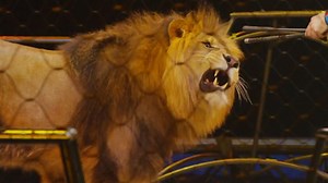 Ringling Bros. and Barnum & Bailey Circus Is Closing After 146 Years