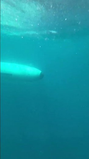 Autonomous Undersea Vehicles