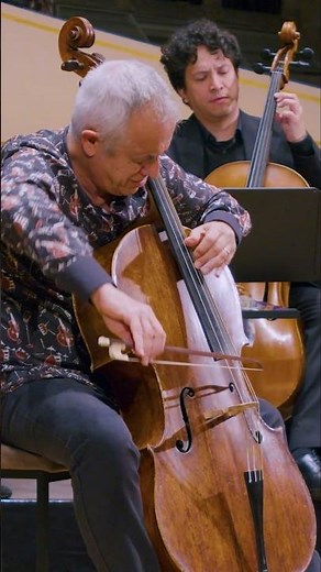 A must watch! Haydn's cello gem. ❤️❤️ #orchestra #cello #classicalmusic #concert