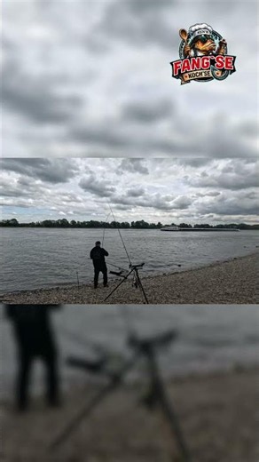 Fishing with dew worms for big fat bream on the mighty Rhine