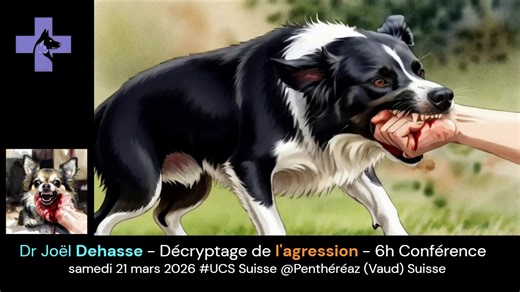 𝐃𝐞𝐜𝐫𝐲𝐩𝐭𝐚𝐠𝐞 𝐝𝐞 𝐥’𝐚𝐠𝐫𝐞𝐬𝐬𝐢𝐨𝐧 𝐜𝐡𝐞𝐳 𝐥𝐞 𝐜𝐡𝐢𝐞𝐧 Le samedi 𝟐𝟏 𝐦𝐚𝐫𝐬 2026, Conférence ~6h, en présentiel, 8h30 16-17h. @ Salle polyvalente, La Planchettaz 2, 1375 𝐏𝐞𝐧𝐭𝐡é𝐫é𝐚𝐳 (Vaud) 𝐒𝐮𝐢𝐬𝐬𝐞. Formation continue # UCS/SKB (Union Canine Suisse) Prix : 100 chf. D’habitude entre 75 et 150 participants. -------------------- & si on n’est pas membre UCS, s’inscrire chez Jean-Pierre Dubey, WhatsApp 41 79 322 7526, , info@ucs-skb.ch, (courrier à UCS, case postale 