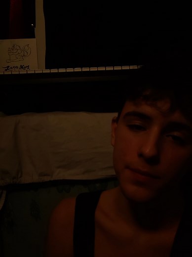 Reflexiones sobre el Insomnio y sus Demonios