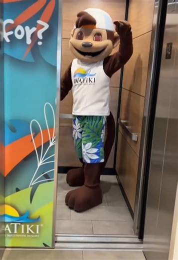 Understanding Why Elevators Move Slowly