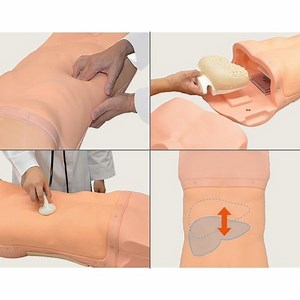 Abdominal Assessment Training Simulator