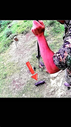 «Я поднялся наверх и охотился на кабана, стоявшего внизу».#challenge## весенняяохота#good#hunting