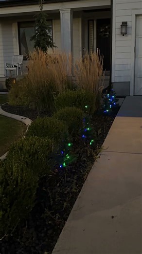 Mini LED Christmas trees for a bright cheerful holiday #tiktokshopcreatorpicks