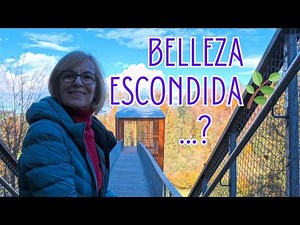 Exploring mysterious caves in Baar, Switzerland 🇨🇭 (4K)