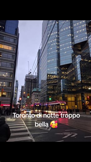 Toronto at Night: A Beautiful City Experience