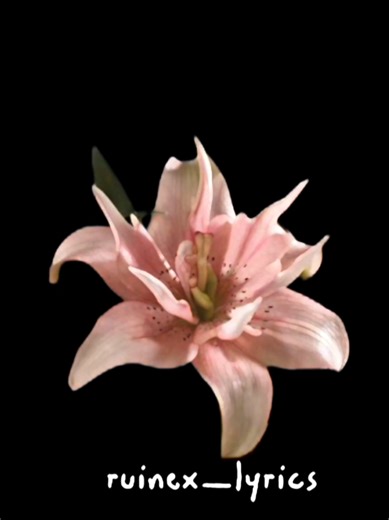 Oldlarr eyyam like basdyyy🫠😍 | 30 like gelmezmi🙂? #imovie❤️‍🔥🥷🎧 #lyricsvideo #imovie_logy🔥 #lyrics #lyrics_songs