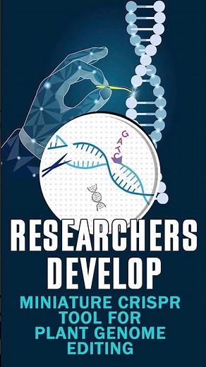 Miniature CRISPR Tool Revolutionizes Plant Genome Editing: Latest Research Insights