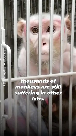 If this breaks your heart, you NEED to take action for them NOW 🤳