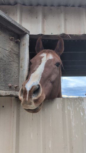 Taking breakfast orders | David Reed