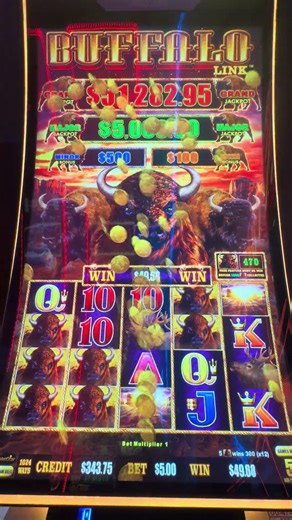 Buffalo Link - 9 Buffalo Line Hit!!! 🦬🔥 Big Buffalo Pay Surprise!!!