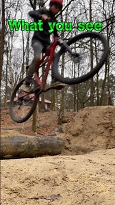 Het you see vs what i see what is better phone of GoPro let my now