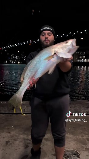 Sydney Harbour Mulloway Fishing Spot in Rivers | Jew Fishing Video