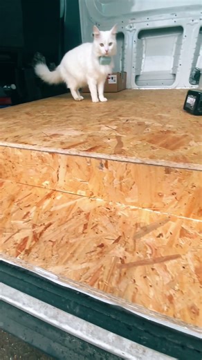 Ford Transit step build 🙌 #campervan #vanlife #vanbuild #vanconversion #campervanconversion