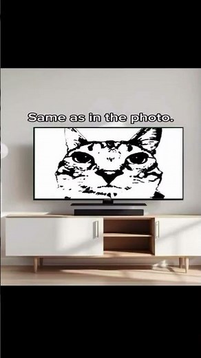 2 totally different energies #funny #meme #memes