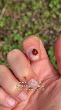 I only started getting into gardening in 2022. So therapeutic and peaceful 😌