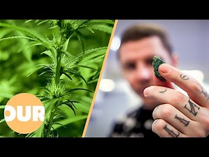 Should Cannabis Be Legalised? (Professor Green Documentary) | Our Life