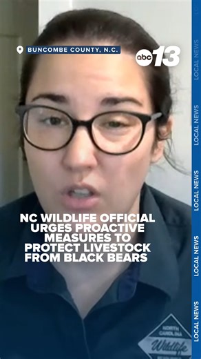 The North Carolina Wildlife Resources Commission shares precautionary measures you can take during this time of year to protect your livestock from bears. Click the link to read more: https://bit.ly/3JsjzAC | WLOS ABC 13