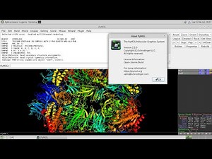 Pymol: Molecular Visualization System, Docking Results on Autodock Vina, Autodock4, etc.