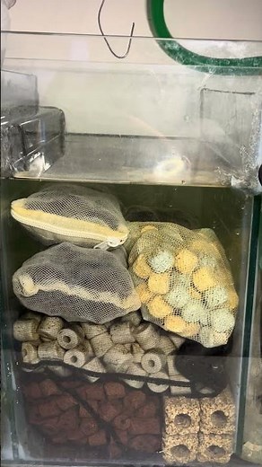 My Aquarium Sump Filter #aquarium