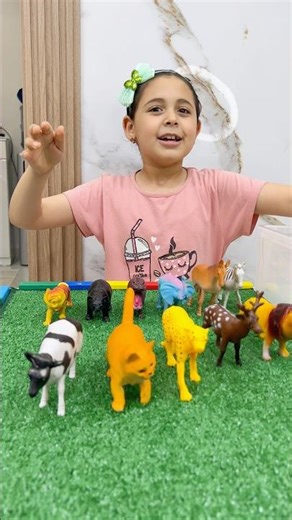 Learning the names of forest animals 🐘🐆🐏🐴🦍