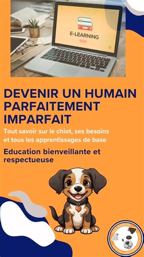 🐶 Nouveau chiot à la maison ? Formation en ligne à ton rythme pour tout savoir sur : https://julie-educ-comport31.teachizy.fr/ ⭐Propreté, ⭐Mordillements, ⭐Nuits difficiles, ⭐ Solitude ⭐ Éducation de base... Tu n’es pas seul(e). 🎓 Formation chiot complète ✔ Méthode bienveillante ✔ Conseils concrets & applicables 🔥 Prix exclusifs de seulement 39 € Évite les erreurs qui créent des problèmes plus tard. 🧡Créée par Julie, comportementaliste éducatrice canine 📲 Lien en bio Clique ici https://julie