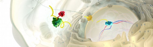 Clinically Validated LNP Delivery Technology | Acuitas Therapeutics