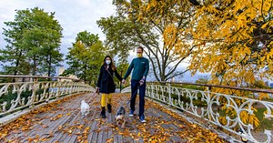 Love in Central Park