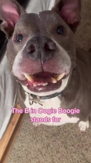 Meet Mr. Oogie Boogie Man: A Greenscreen Video