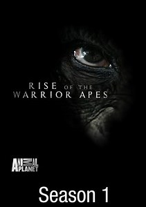 Rise of the Warrior Apes