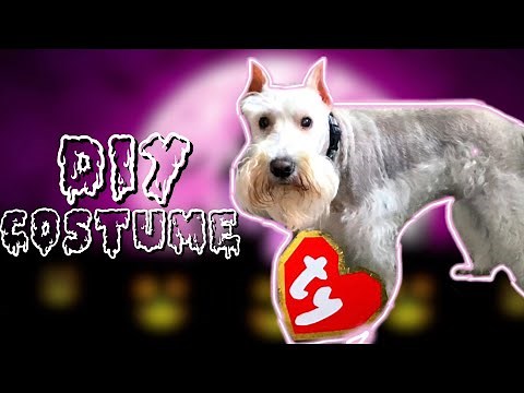 DIY Beanie Boo Dog Costume!