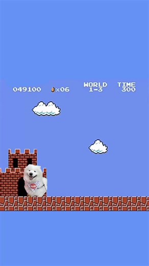 Affordable Pet Insurance: Care Without Financial Stress