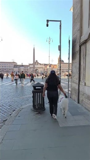 With its snow-white fur, fluffy tail, and size, that dog is a Samoyed. 🐾
