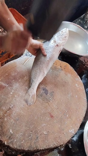 white salmon fish cutting skill