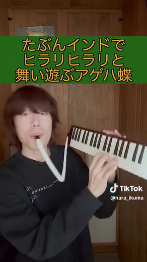 アゲハ蝶の舞と楽器演奏の調和