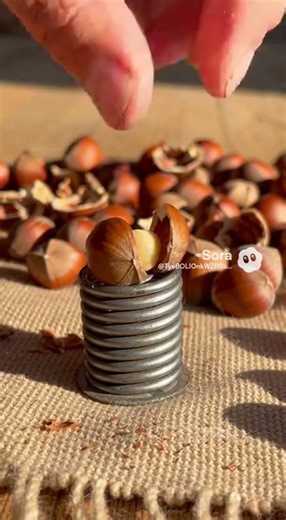 Clever Nut Cracking Invention That Will Blow Your Mind #innovation #gadgets #DIY