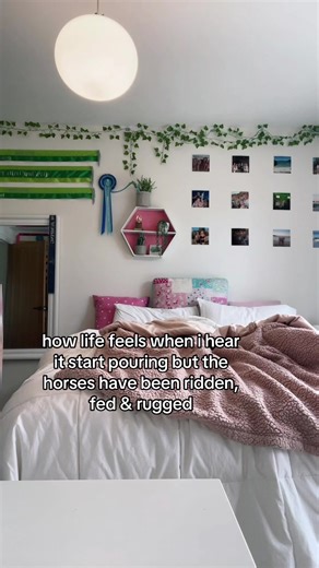 best feeling #nz #equestrian #showjumping